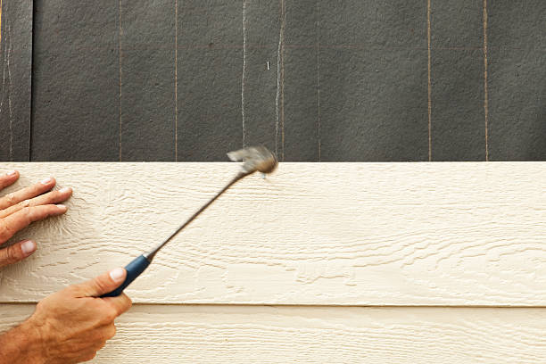Affordable Siding Repair and Maintenance Services in West Monroe, MI