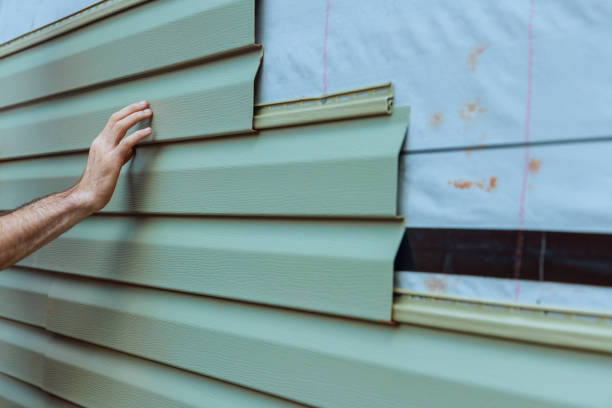 Best Siding Painting and Refinishing  in West Monroe, MI